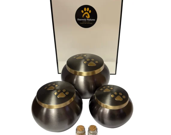 Pet Cremation Costs