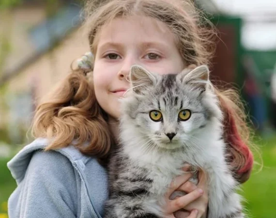 cat side image