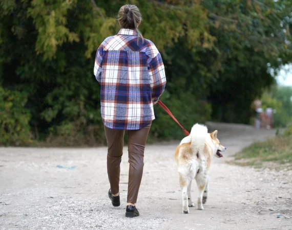 Dog Walk