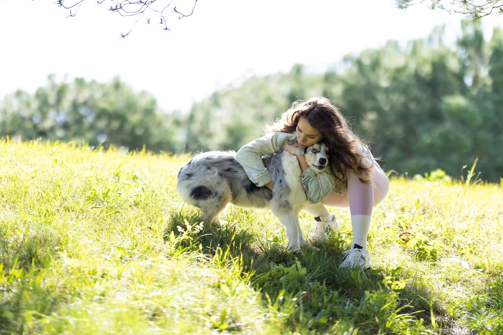 Bold Heath Pet Cremation – Paw Prints and Photographs